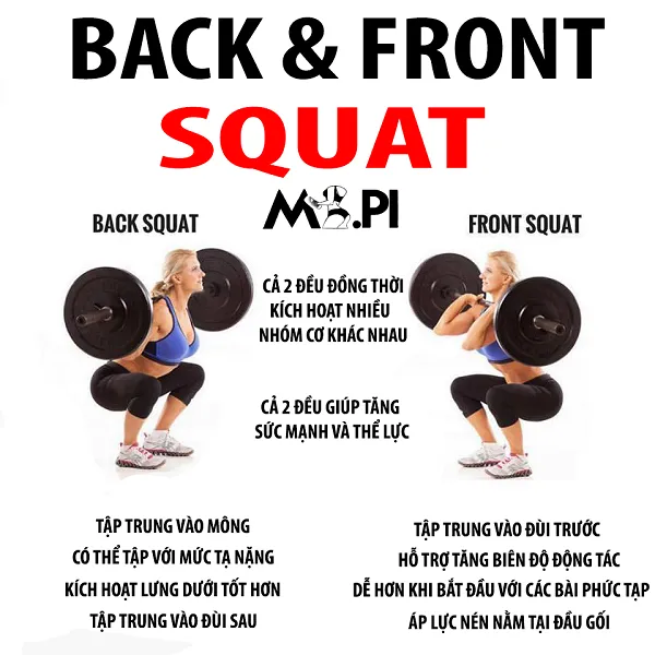 Front squat có tác dụng gì đối với cơ thể? 
