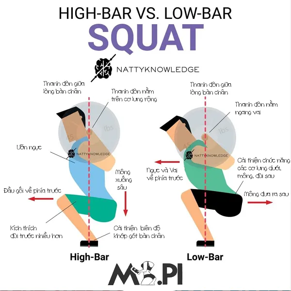Low bar squat có tác dụng gì cho cơ thể? 
