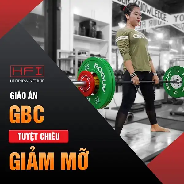 Cách phòng chống bệnh GBC ở mèo là gì?