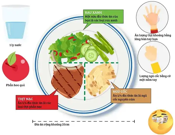 Thế nào là đĩa thức ăn tiêu chuẩn